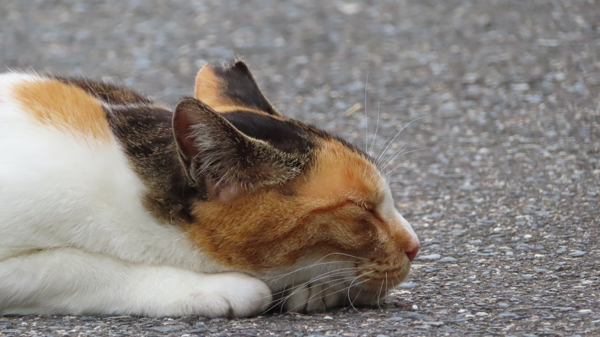 頑張らないリラックス法